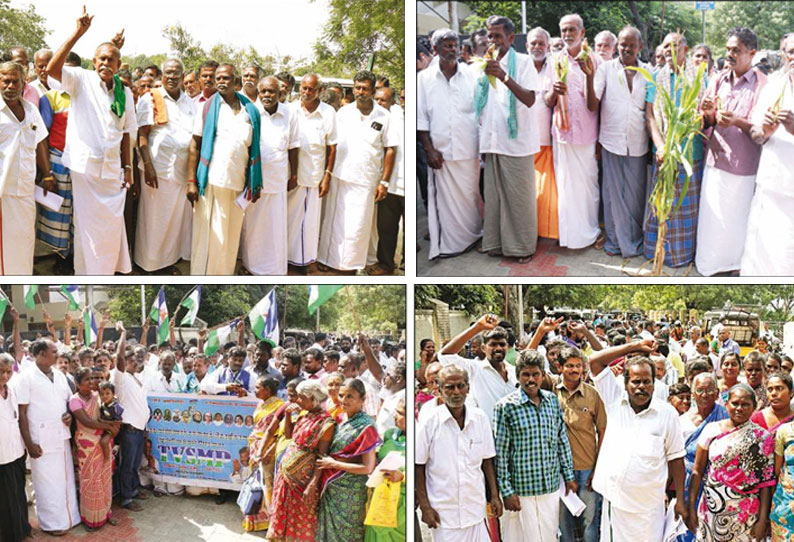 மக்கள் குறைதீர்க்கும் நாள் கூட்டம்: மணிமுத்தாறு அணையில் இருந்து பாசனத்திற்கு தண்ணீர் திறக்கவேண்டும் கலெக்டரிடம் விவசாயிகள் மனு