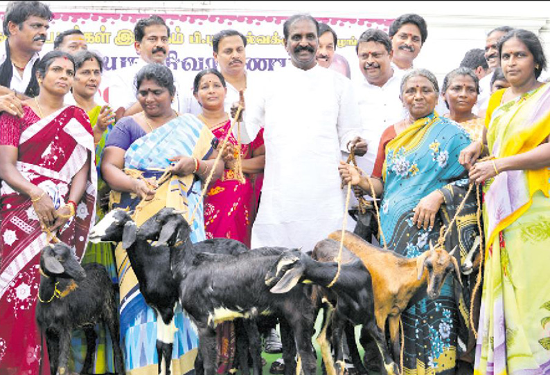 கஜா புயலால், டெல்டா மாவட்டங்களில் பாதிக்கப்பட்ட 1,008 குடும்பங்களுக்கு ஆடுகள் கவிஞர் வைரமுத்து வழங்கினார்