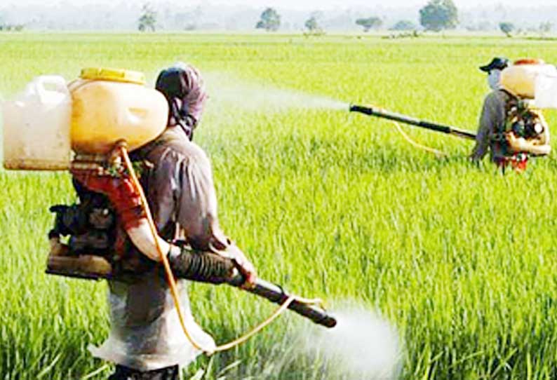 வயல்களில் மருந்து தெளிக்கும்போது கடைபிடிக்க வேண்டிய நடைமுறைகள்; வேளாண்மை இணை இயக்குனர் தகவல்