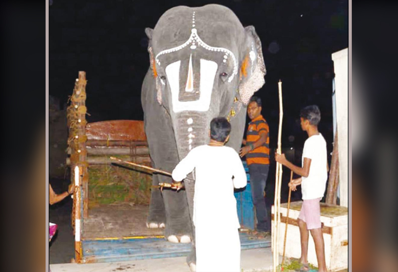 நலவாழ்வு முகாமுக்கு படவேடு கோவில் யானை லாரி மூலம் கொண்டு செல்லப்பட்டது