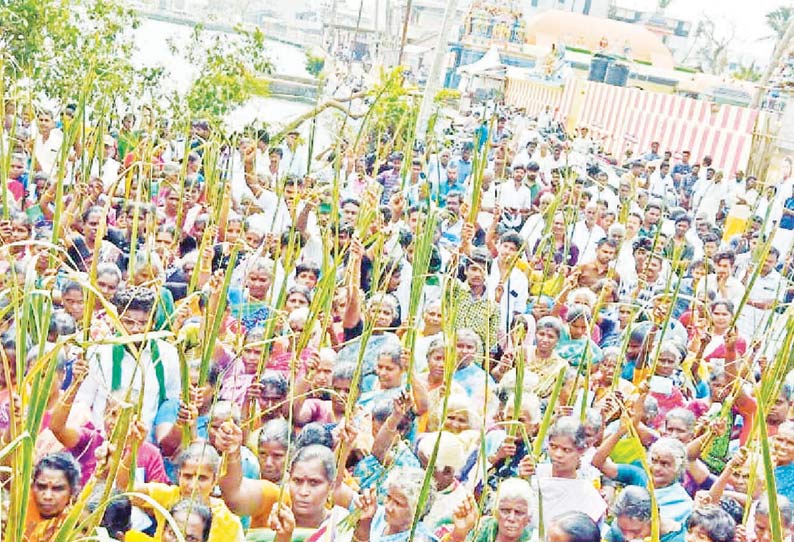 கஜா புயலால் அழிந்த தென்னை மரங்களுக்கு 30-ம் நாள் நினைவு பேரணி பட்டுக்கோட்டையில் நடந்தது