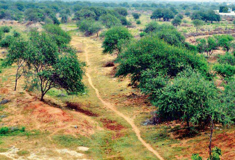 தண்ணீர் இல்லாததால் திரும்பிச்செல்லும் வெளிநாட்டு பறவைகள்