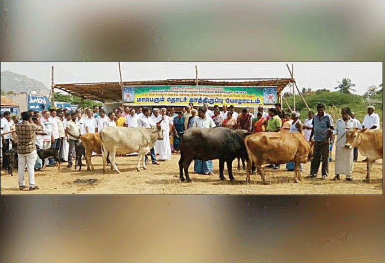 குமாரபாளையம் அருகே ஆடு, மாடுகளுடன் விவசாயிகள் ஆர்ப்பாட்டம் விவசாய நிலங்களில் உயர் மின்கோபுரம் அமைக்க எதிர்ப்பு