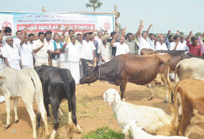 மின்கோபுரங்கள் அமைக்க எதிர்ப்பு: ஈரோட்டில் ஆடு, மாடுகளுடன் விவசாயிகள் போராட்டம்