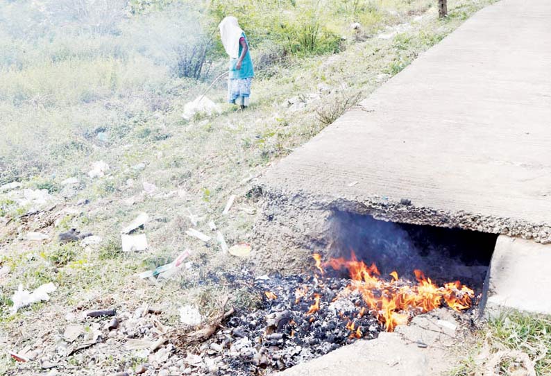 தஞ்சையில் சாலையோரங்களில் மருத்துவக்கழிவுகள், குப்பைகள் எரிப்பதால் வாகன ஓட்டிகள் அவதி