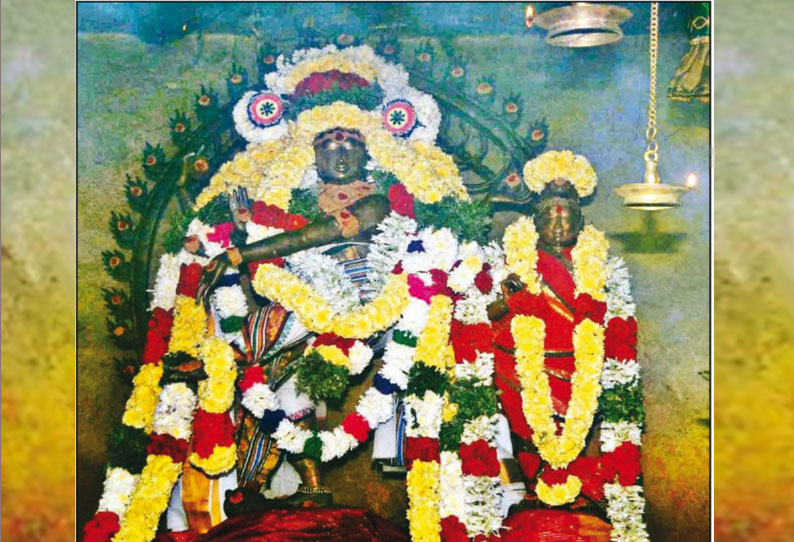 நாகை நீலாயதாட்சியம்மன் கோவிலில் ஆருத்ரா தரிசனம் - திரளான பக்தர்கள் பங்கேற்பு