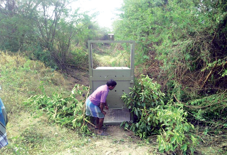 வாணியம்பாடி அருகே பதுங்கல் மயக்க ஊசி போட்டு சிறுத்தையை பிடிக்க நடவடிக்கை