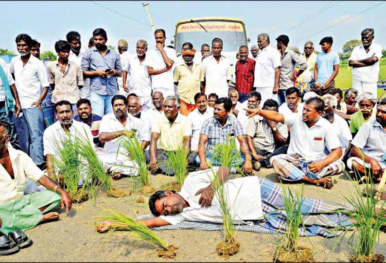 2-ம் போக சாகுபடிக்கு தண்ணீர் வழங்கக்கோரி நெல் நாற்றுகளுடன் விவசாயிகள் மறியல்