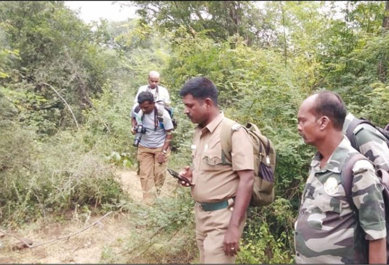 சத்தியமங்கலம் வனப்பகுதியில் முதல் முறையாக வண்ணத்துப்பூச்சி - பறவைகள் கணக்கெடுக்கும் பணி