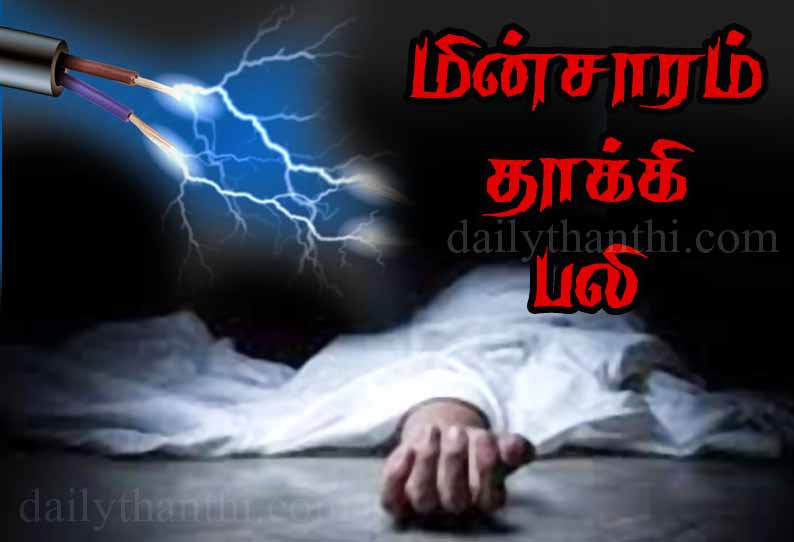 ஓட்டப்பிடாரத்தில் மின்சாரம் தாக்கி வாலிபர் பலி