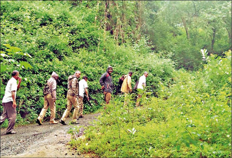 சிறுமலை பகுதியில் வனத்துறையினர் தீவிர ரோந்து