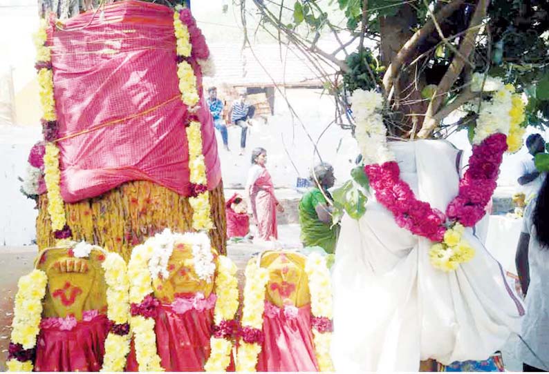 அரசமரத்துக்கும், வேப்ப மரத்துக்கும் திருமணம் திரளான பக்தர்கள் பங்கேற்பு