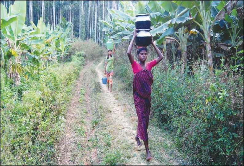 அய்யங்கொல்லி அருகே குடிநீர் தேடி தொலைதூரம் செல்லும் ஆதிவாசி மக்கள்