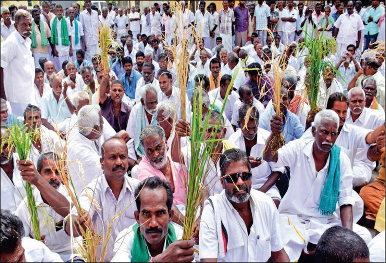 மதுரையில் விவசாயிகள் திடீர் மறியல்