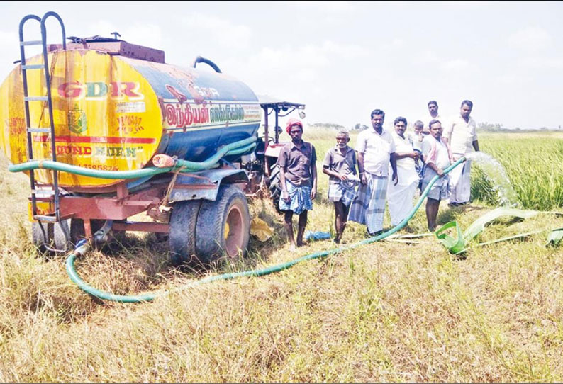 நெற்பயிர்களை காப்பாற்ற டேங்கர் லாரி மூலம் தண்ணீர் பாய்ச்சும் விவசாயிகள்