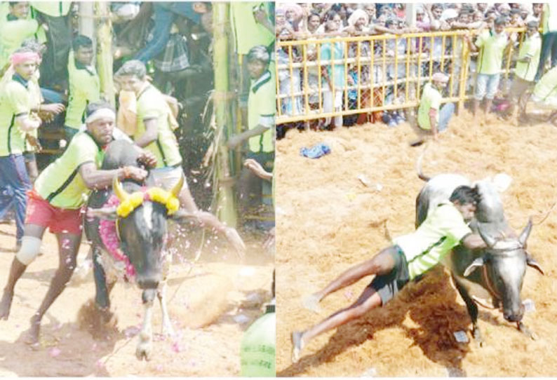 ஜல்லிக்கட்டு; 15 பேர் காயம் வெற்றி பெற்றவர்கள் பரிசு பொருட்களை அள்ளி சென்றனர்