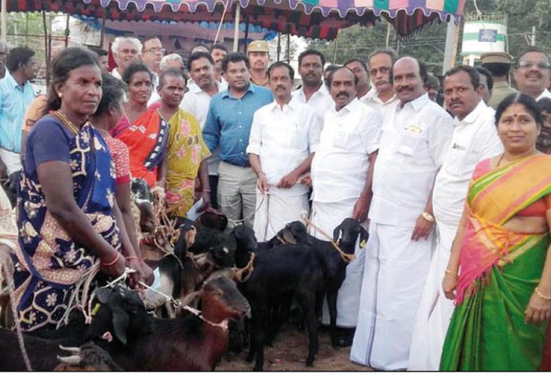 காமக்கூர் கிராமத்தில் விலையில்லா ஆடுகள் வழங்கும் விழா