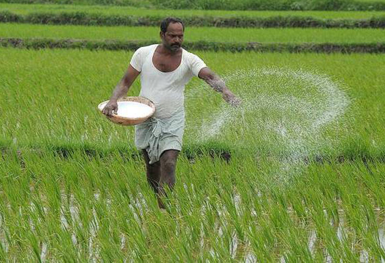 விவசாயிகளுக்கு தேவையான அளவில் உரம் கிடைக்க நடவடிக்கை