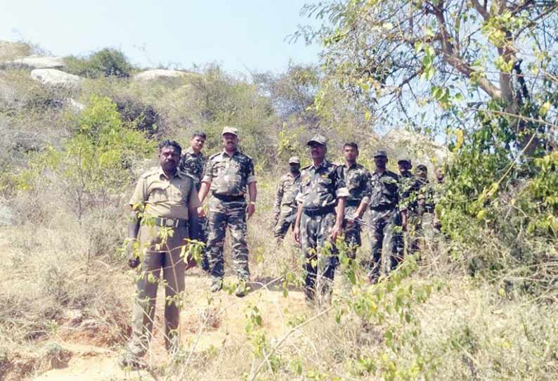 தமிழக-கர்நாடக எல்லையில் நக்சல் தேடுதல் வேட்டை அதிரடிப்படை போலீசார் தீவிரம்