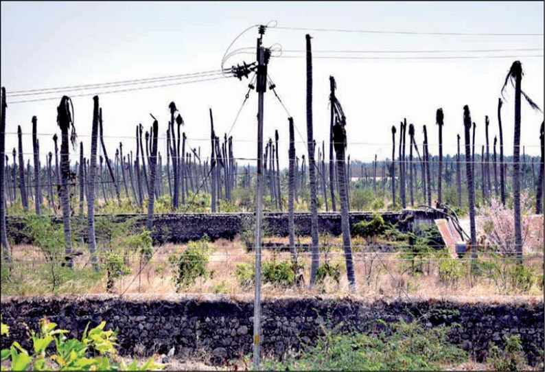 குடிமங்கலம் பகுதியில் குட்டைகள், தடுப்பணைகள் வறண்டன