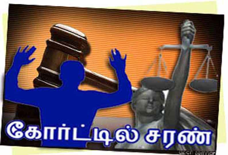 சுத்தமல்லி அருகே பெண் கொலையில் மேலும் ஒருவர் கைது 2 பேர் கோர்ட்டில் சரண்