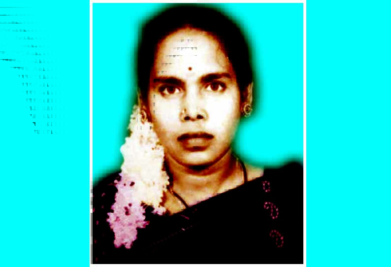 பனவடலிசத்திரம் அருகே மின்சாரம் தாக்கி பெண் பலி
