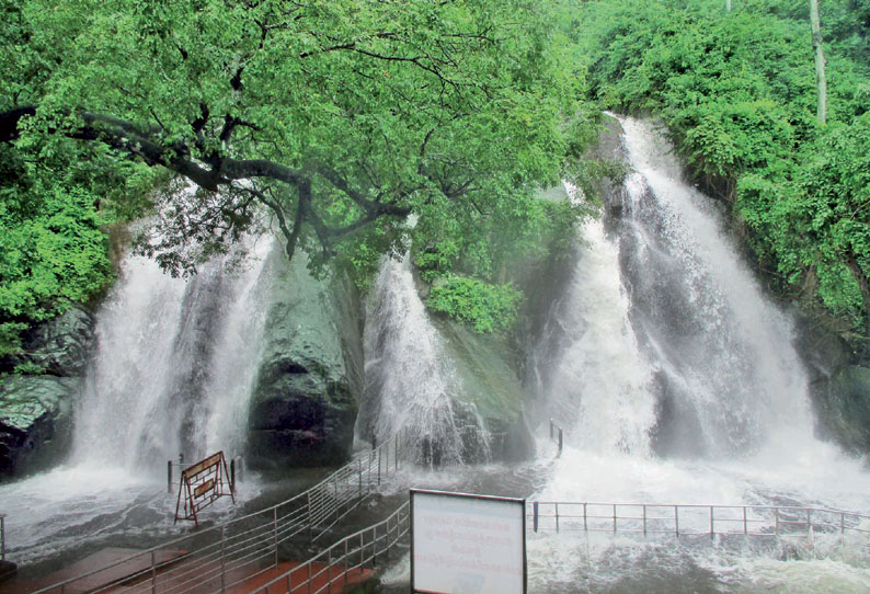 குற்றாலம் அருவிகளில் வெள்ளப்பெருக்கு அணைகள் நிரம்பியதால் விவசாயிகள் மகிழ்ச்சி