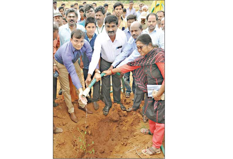 கன்னிவாடி அருகே ஐகோர்ட்டு உத்தரவுப்படி மரக்கன்றுகள் நட்ட கலெக்டர்