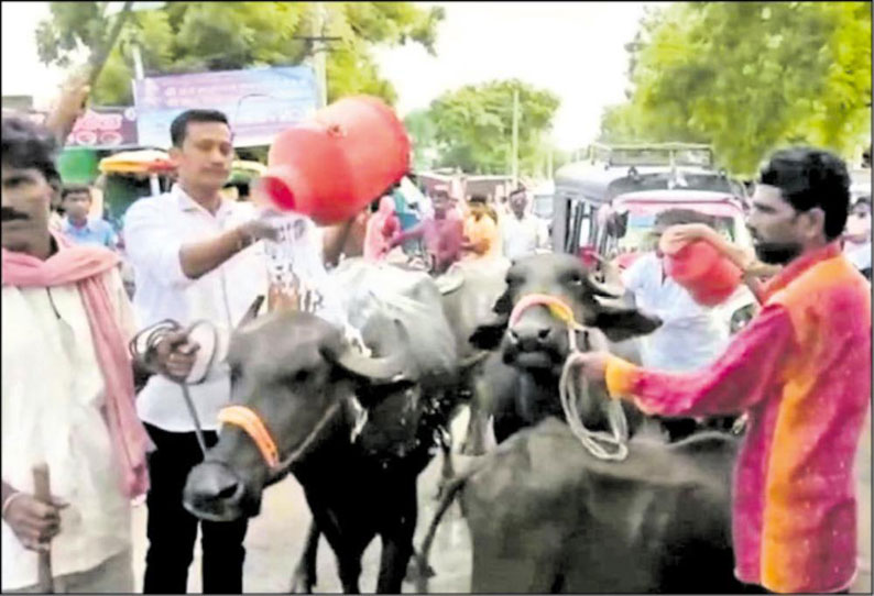 மராட்டியத்தில் 4 நாட்களாக நீடித்த பால் விவசாயிகள் போராட்டம் வாபஸ் கொள்முதல் விலையை உயர்த்தி அரசு நடவடிக்கை