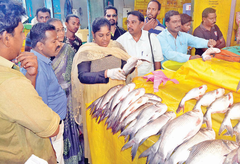 ‘பார்மாலின்’ வேதிப்பொருள் கலந்து மீன்கள் விற்கப்படுகிறதா? அதிகாரிகள் சோதனை