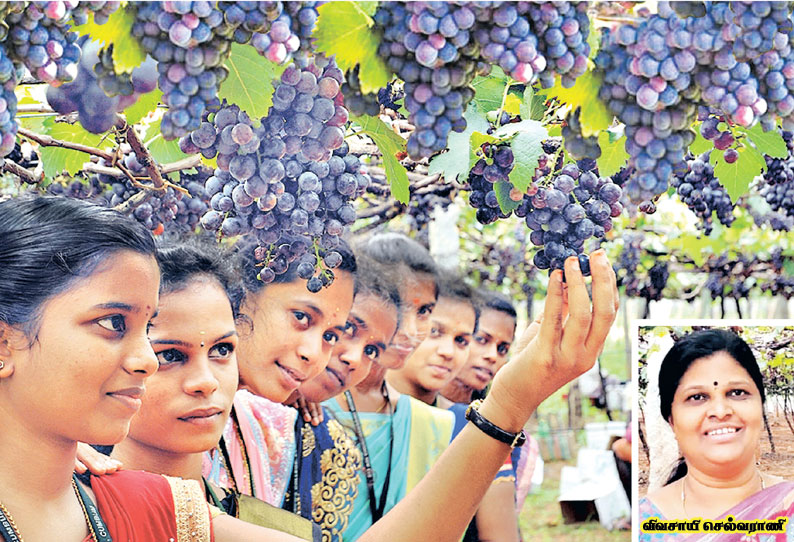 திராட்சை சுற்றுலா பூங்கா