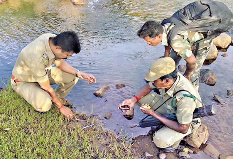 பழனி வனச்சரக பகுதியில் புலி, சிறுத்தை, செந்நாய் கணக்கெடுப்பு