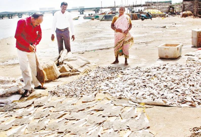 நாகூர் வெட்டாற்று கரையில் கருவாடு காயவைக்கும் தளத்தை அதிகாரி ஆய்வு