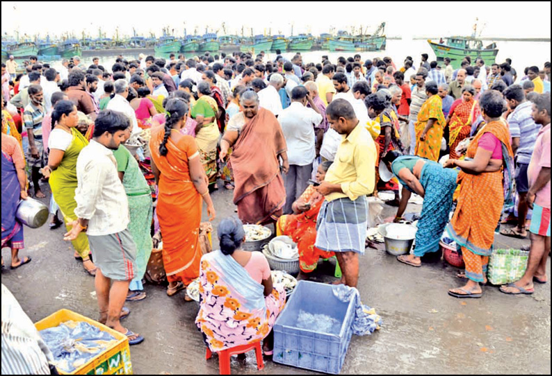 காசிமேடு மீன்பிடி துறைமுகத்தில் மீன்கள் விலை உயர்வு பொதுமக்கள் ஏமாற்றம்