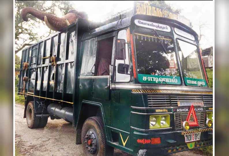 காட்டு யானையை விரட்ட 2 கும்கி யானைகள் இன்று வருகை