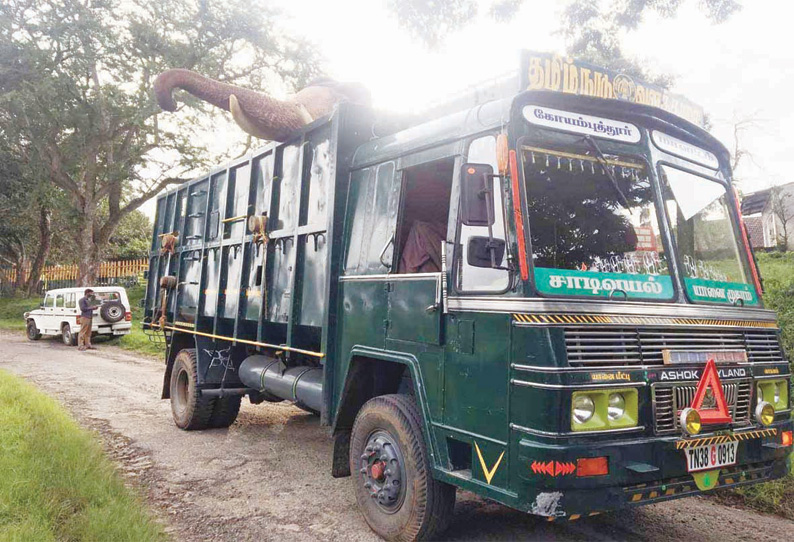 காட்டு யானையை விரட்ட டாப்சிலிப்பில் இருந்து 2 கும்கி யானைகள் தேனிக்கு கொண்டு செல்லப்படுகிறது