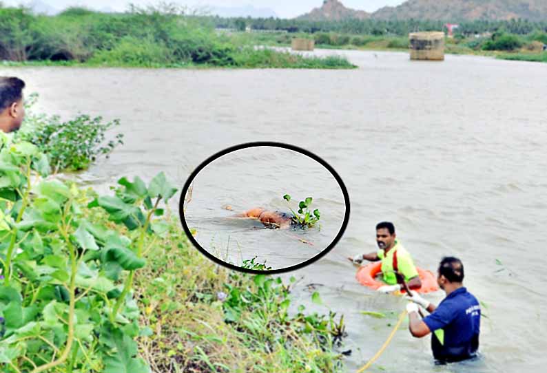 வைகை ஆற்றில் அழுகிய நிலையில் வாலிபர் பிணம்