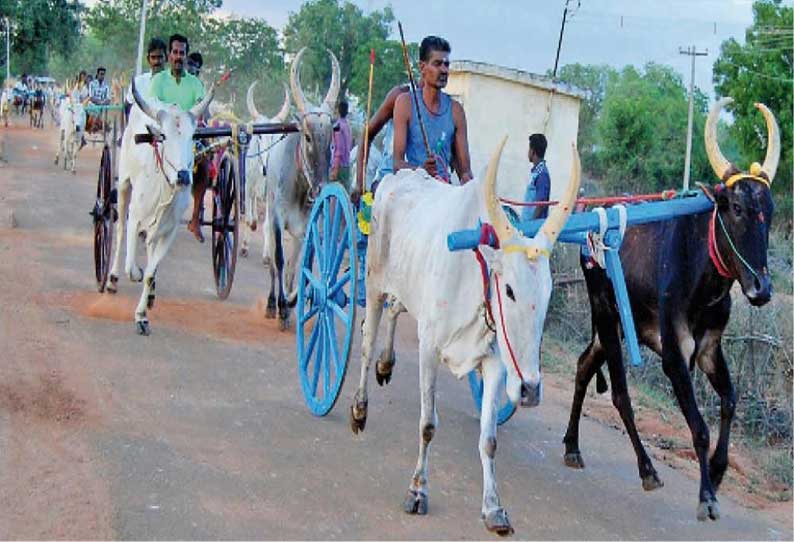 கோவில் திருவிழாவையொட்டி மாட்டு வண்டி பந்தயம்