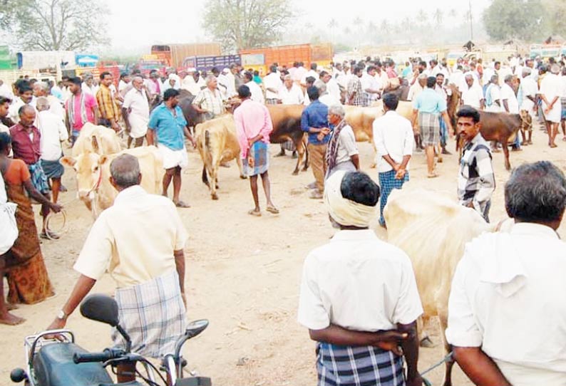 அரூர் அருகே நடந்த வாரசந்தையில் ரூ.42 லட்சத்திற்கு மாடுகள் விற்பனை