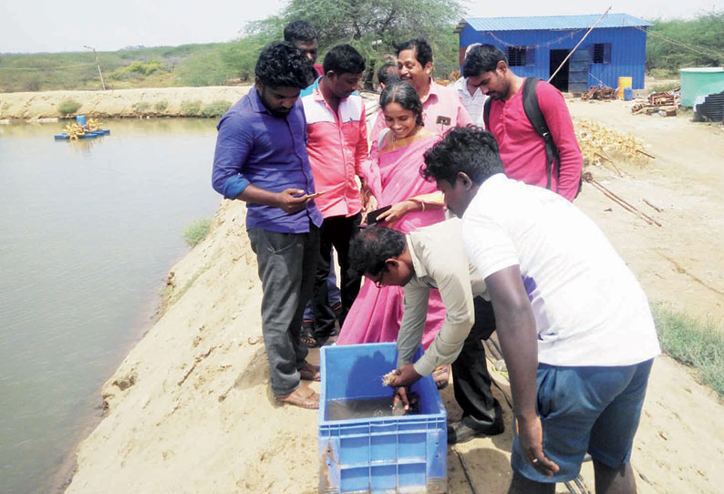 தூத்துக்குடி மீன்வளக் கல்லூரியில் இறால் வளர்ப்பு குறித்த பயிற்சி