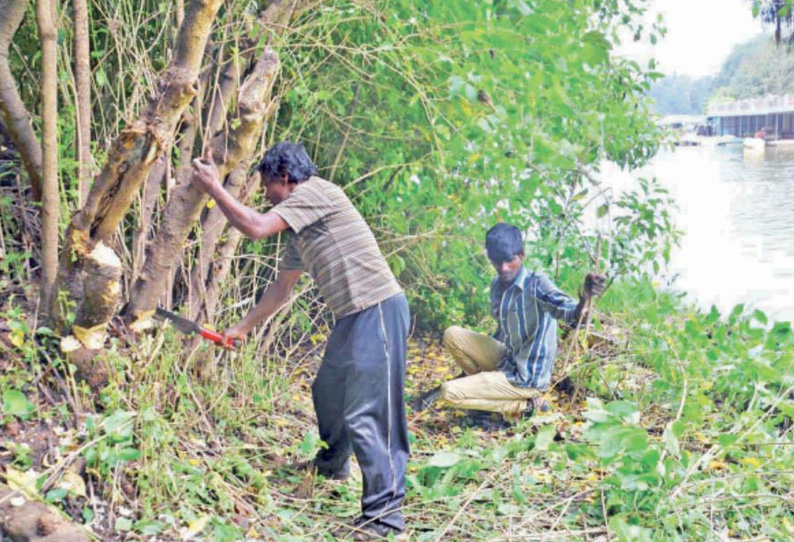 ஊட்டி படகு இல்லத்தில் சுற்றுலா பயணிகளை கவர பூங்கா அமைக்க திட்டம்