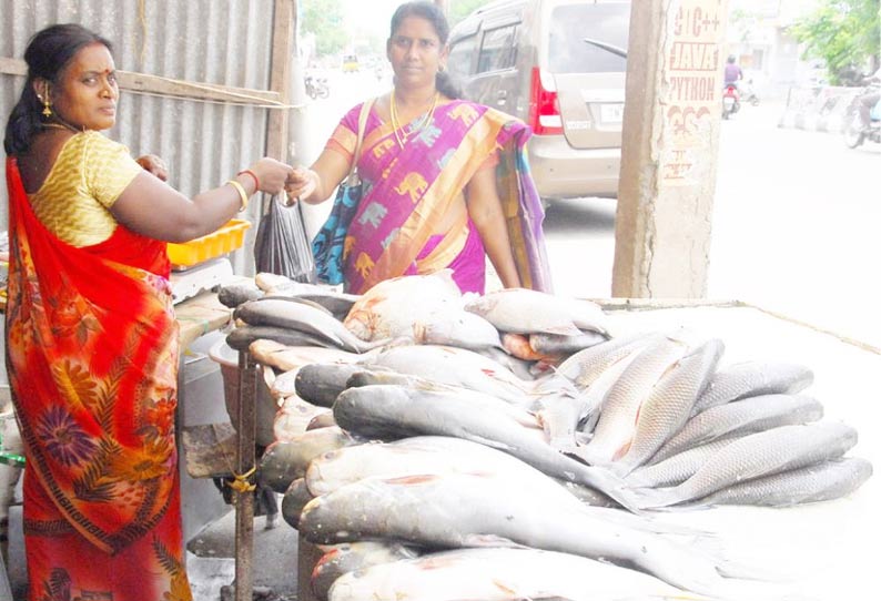 தடை காலம் அமலில் இருப்பதால் மீன்கள் விலை கடும் உயர்வு வஞ்சிரம் கிலோ ரூ.900-க்கு விற்பனை