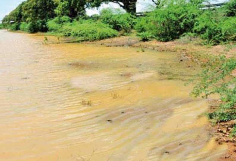 காரைக்குடி பகுதியில் கண்மாய், ஊருணிகளுக்கு நீர் வரத்து அதிகரிப்பு