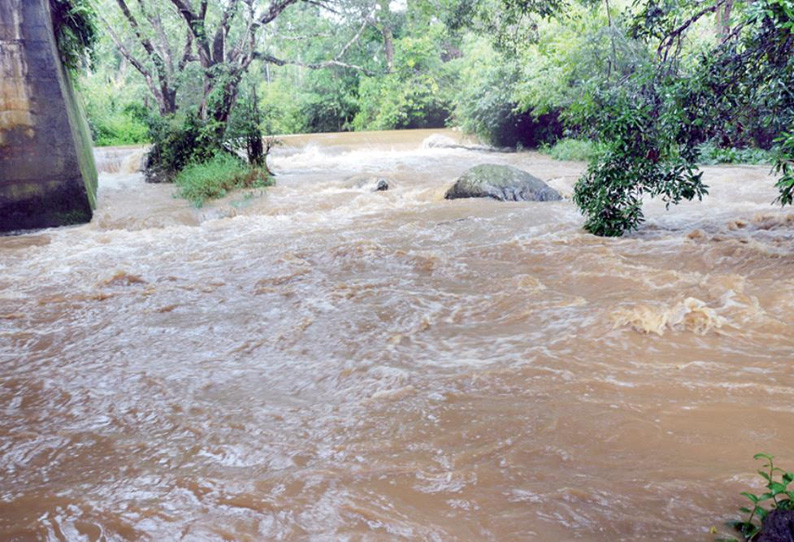 Rainfall in Nilgiris district: floods in rivers | நீலகிரி மாவட்டத்தில்  தொடர் மழை: ஆறுகளில் வெள்ளப்பெருக்கு