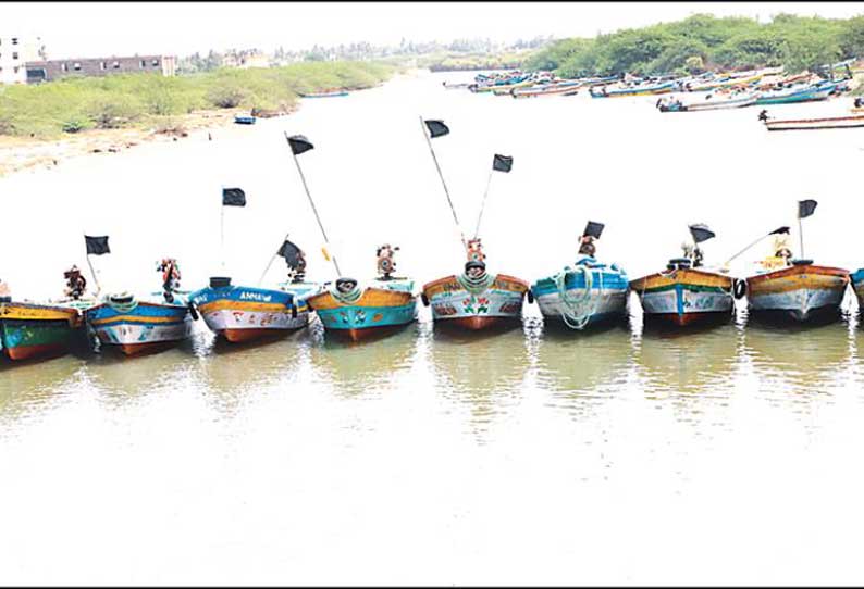 கடலூரில் படகுகளில் கருப்பு கொடி ஏற்றி மீனவர்கள் போராட்டம்