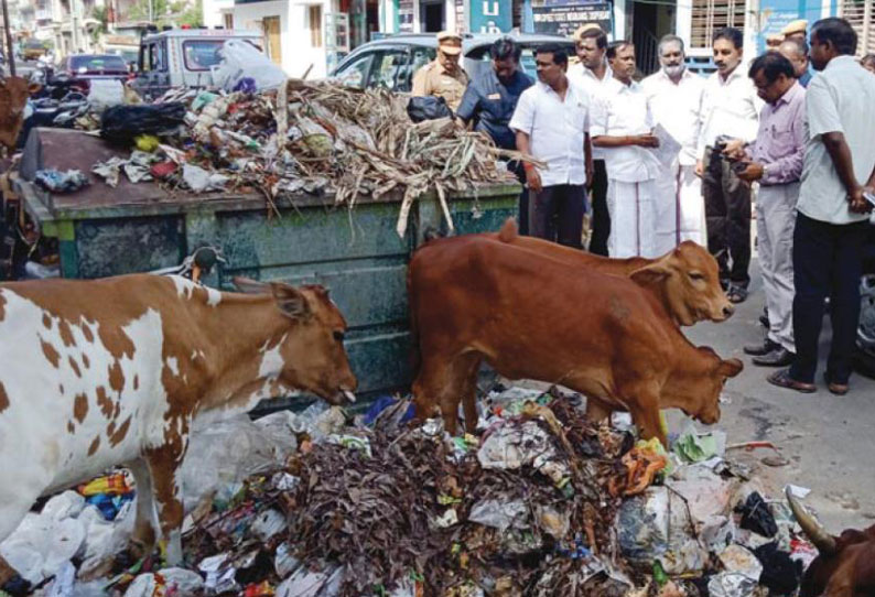 ஆரணியில் குப்பைகளை அகற்ற நடவடிக்கை: சுகாதார ஆய்வாளர் பணியிடை நீக்கம் மேலும் 8 பணியாளர்களுக்கு ‘நோட்டீஸ்’