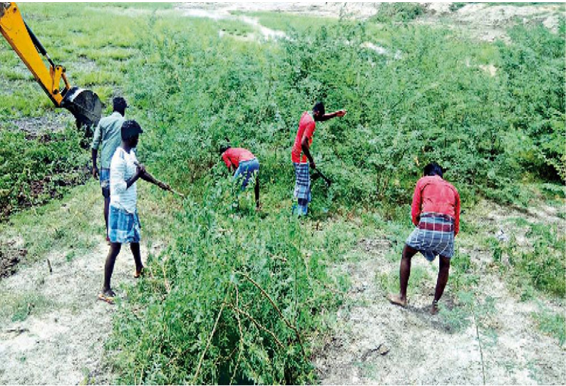 மானாமதுரை அருகே நூற்றாண்டை கடந்த ஊருணியை தூர்வார களம் இறங்கிய கிராம மக்கள்