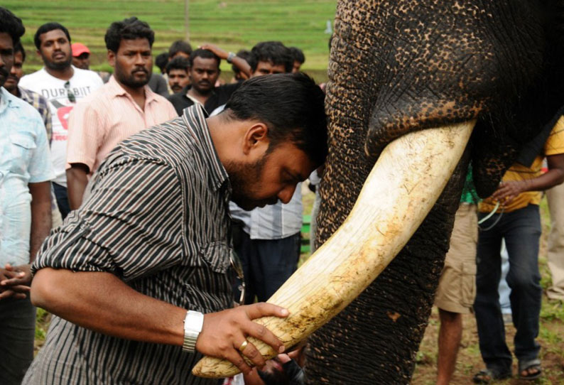 கும்கி-2 கும்கி-2