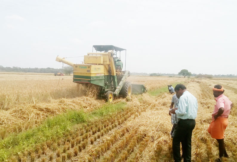 லால்குடி பகுதியில் சம்பா நெல் அறுவடை பணிகள் தீவிரம் விவசாயிகள் மகிழ்ச்சி