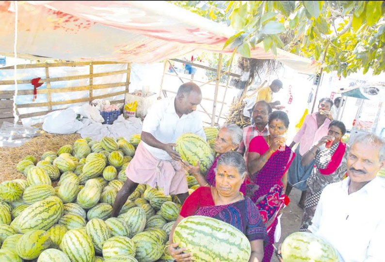 பெரம்பலூரில் வெயிலின் தாக்கம் அதிகரிப்பு: தர்ப்பூசணி-கரும்பு ஜூஸ் விற்பனை அமோகம்